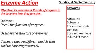 Enzyme Action 
Objective: To understand the role of enzymes in 
the body and how they function. 
Outcomes: 
Recall the function of enzymes. 
Describe the structure of enzymes. 
Compare the two different models that 
explain how enzymes work. 
Sunday, 28 September 2014 
Keywords 
Active site 
Substrate 
Enzyme-substrate 
complex 
Lock and key model 
Induced fit model 
 