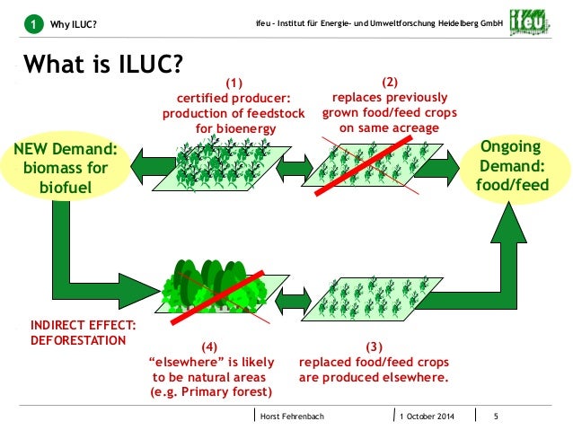 Indirect Land Use Change iLUC And Biogas Industry Horst Fehrenbach indirect-land-use-change-iluc-and-biogas-industry-horst-fehrenbach