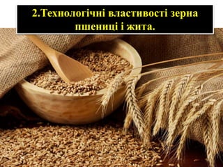 2.Технологічні властивості зерна
пшениці і жита.
 