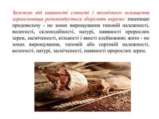 Залежно від наявності ємкості і технічного оснащення
зерносховища рекомендується зберігати окремо: пшеницю
продовольчу - по зонах вирощування типовій належності,
вологості, склоподібності, натурі, наявності пророслих
зерен, засміченості, кількості і якості клейковини; жито - по
зонах вирощування, типовій або сортовій належності,
вологості, натурі, засміченості, наявності пророслих зерен.
 