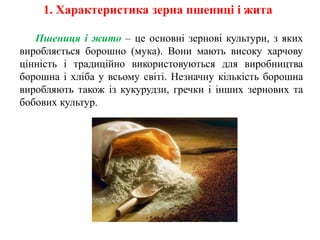 1. Характеристика зерна пшениці і жита
Пшениця і жито – це основні зернові культури, з яких
виробляється борошно (мука). Вони мають високу харчову
цінність і традиційно використовуються для виробництва
борошна і хліба у всьому світі. Незначну кількість борошна
виробляють також із кукурудзи, гречки і інших зернових та
бобових культур.
 