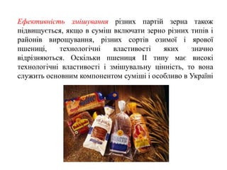 Ефективність змішування різних партій зерна також
підвищується, якщо в суміш включати зерно різних типів і
районів вирощування, різних сортів озимої і ярової
пшениці, технологічні властивості яких значно
відрізняються. Оскільки пшениця II типу має високі
технологічні властивості і змішувальну цінність, то вона
служить основним компонентом суміші і особливо в Україні
 