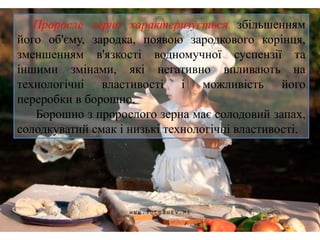 Проросле зерно характеризується збільшенням
його об'єму, зародка, появою зародкового корінця,
зменшенням в'язкості водномучної суспензії та
іншими змінами, які негативно впливають на
технологічні властивості і можливість його
переробки в борошно.
Борошно з пророслого зерна має солодовий запах,
солодкуватий смак і низькі технологічні властивості.
 