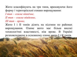 Жито класифікують на три типи, враховуючи його
форму і територіальні ознаки вирощування:
І тип – озиме північне,
II тип – озиме південне,
III тип – ярове.
Жито І і II типів ділять на підтипи по районах
вирощування. Озиме жито має більш високі
технологічні властивості, ніж ярове. В Україні
розповсюджене в основному озиме жито І і II типів.
 