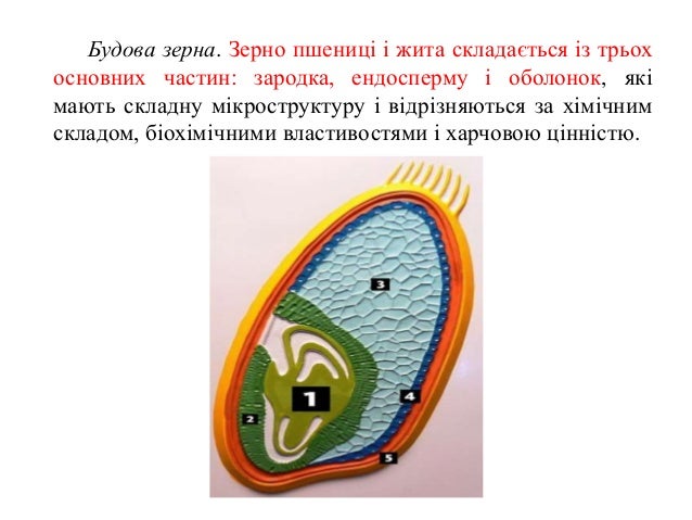 тпз лекція 2