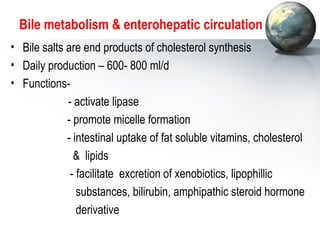 Bile metabolism  enterohepatic circulation 
• Bile salts are end products of cholesterol synthesis 
• Daily production – 600- 800 ml/d 
• Functions- 
- activate lipase 
- promote micelle formation 
- intestinal uptake of fat soluble vitamins, cholesterol 
 lipids 
- facilitate excretion of xenobiotics, lipophillic 
substances, bilirubin, amphipathic steroid hormone 
derivative 
 