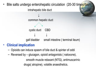 • Bile salts undergo enterohepatic circulation (20-30 times/day) 
intrahepatic bile duct 
↓ 
common hepatic duct 
cystic duct CBD 
↓ ↓ 
gall bladder small intestine ( terminal ileum) 
• Clinical implication 
– Opioids can induce spasm of bile duct  spinter of oddi 
– Reversed by – glucagon, opioid antagonists ( naloxone), 
smooth muscle relaxant (NTG), antimuscarinic 
drugs( atropine), volatile anaesthetics. 
 