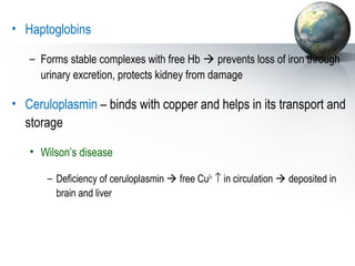 • Haptoglobins 
– Forms stable complexes with free Hb  prevents loss of iron through 
urinary excretion, protects kidney from damage 
• Ceruloplasmin – binds with copper and helps in its transport and 
storage 
• Wilson’s disease 
– Deficiency of ceruloplasmin  free Cu2+ ­ in circulation  deposited in 
brain and liver 
 