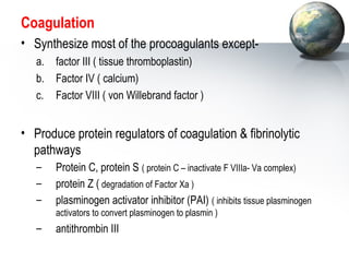 Coagulation 
• Synthesize most of the procoagulants except-a. 
factor III ( tissue thromboplastin) 
b. Factor IV ( calcium) 
c. Factor VIII ( von Willebrand factor ) 
• Produce protein regulators of coagulation  fibrinolytic 
pathways 
– Protein C, protein S ( protein C – inactivate F VIIIa- Va complex) 
– protein Z ( degradation of Factor Xa ) 
– plasminogen activator inhibitor (PAI) ( inhibits tissue plasminogen 
activators to convert plasminogen to plasmin ) 
– antithrombin III 
 