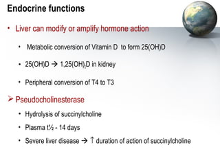 Endocrine functions 
• Liver can modify or amplify hormone action 
• Metabolic conversion of Vitamin D to form 25(OH)D 
• 25(OH)D  1,25(OH)2D in kidney 
• Peripheral conversion of T4 to T3 
Pseudocholinesterase 
• Hydrolysis of succinylcholine 
• Plasma t½ - 14 days 
• Severe liver disease  ­ duration of action of succinylcholine 
 