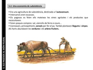 5. ELS PAGESOS AL MÓN FEUDAL 
5.2. Una economia de subsistència 
 Era una agricultura de subsistència, destinada a l’autoconsum. 
 Intercanvis eren escassos. 
 Els pagesos es feien ells mateixos les eines agrícoles i els productes que 
necessitaven. 
 Feien poques compres: sal, utensilis de ferro o coure... 
 Conreaven, principalment, cereals per fer el pa. També plantaven llegums i vinyes. 
Als horts abundaven les verdures i els arbres fruiters. 
 
