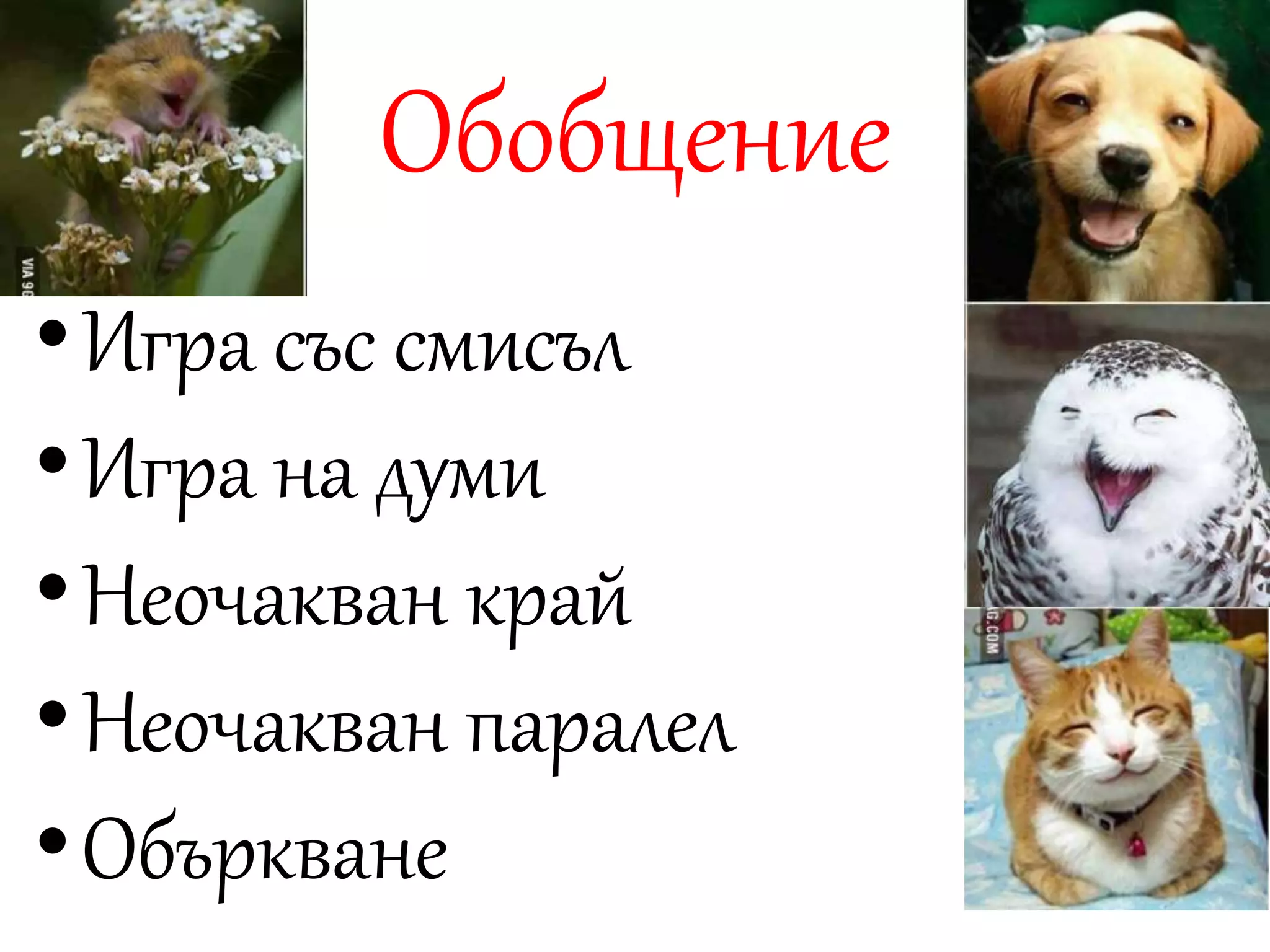 Обобщение 
• Игра със смисъл 
• Игра на думи 
• Неочакван край 
• Неочакван паралел 
• Объркване 
 
