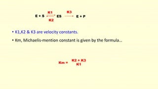 K1 K3 
E + S ES E + P 
K2 
• K1,K2 & K3 are velocity constants. 
• Km, Michaelis-mention constant is given by the formula… 
Km = 
K2 + K3 
K1 
 