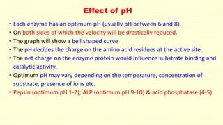 Effect of pH 
• Each enzyme has an optimum pH (usually pH between 6 and 8). 
• On both sides of which the velocity will be drastically reduced. 
• The graph will show a bell shaped curve 
• The pH decides the charge on the amino acid residues at the active site. 
• The net charge on the enzyme protein would influence substrate binding and 
catalytic activity. 
• Optimum pH may vary depending on the temperature, concentration of 
substrate, presence of ions etc. 
• Pepsin (optimum pH 1-2); ALP (optimum pH 9-10) & acid phosphatase (4-5) 
 