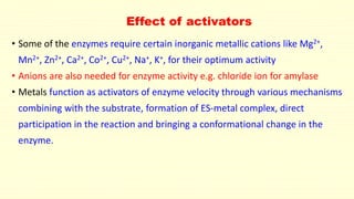 Effect of activators 
• Some of the enzymes require certain inorganic metallic cations like Mg2+, 
Mn2+, Zn2+, Ca2+, Co2+, Cu2+, Na+, K+, for their optimum activity 
• Anions are also needed for enzyme activity e.g. chloride ion for amylase 
• Metals function as activators of enzyme velocity through various mechanisms 
combining with the substrate, formation of ES-metal complex, direct 
participation in the reaction and bringing a conformational change in the 
enzyme. 
 