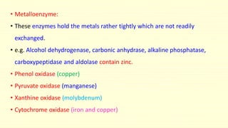 • Metalloenzyme: 
• These enzymes hold the metals rather tightly which are not readily 
exchanged. 
• e.g. Alcohol dehydrogenase, carbonic anhydrase, alkaline phosphatase, 
carboxypeptidase and aldolase contain zinc. 
• Phenol oxidase (copper) 
• Pyruvate oxidase (manganese) 
• Xanthine oxidase (molybdenum) 
• Cytochrome oxidase (iron and copper) 
 