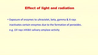 Effect of light and radiation 
• Exposure of enzymes to ultraviolet, beta, gamma & X-rays 
inactivates certain enzymes due to the formation of peroxides. 
e.g. UV rays inhibit salivary amylase activity 
 