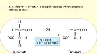 • E. g. Malonate – structural analog of succinate-inhibits succinate 
dehydrogenase. 
 