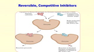 Reversible, Competitive Inhibitors 
 