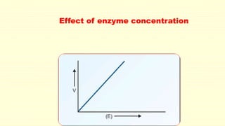 Effect of enzyme concentration 
 