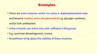 Examples 
• There are some enzymes which are active in dephosphorylated state 
and become inactive when phosphorylated e.g. glycogen synthase, 
acetyl CoA carboxylase. 
• A few enzymes are active only with sulfhydryl (-SH) groups 
• E.g. succinate dehydrogenase, urease. 
• Glutathione bring about the stability of these enzymes. 
 