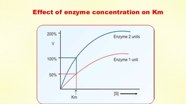 the effect of enzyme concentration on Several factors affect the rate of an enzyme catalyzed reaction among these are enzyme concentration, substrate concentration, temperature and ph besides, some molecules (activators) increase. the effect of enzyme concentration on Several factors affect the rate of an enzyme catalyzed reaction among these are enzyme concentration, substrate concentration, temperature and ph besides, some molecules (activators) increase.