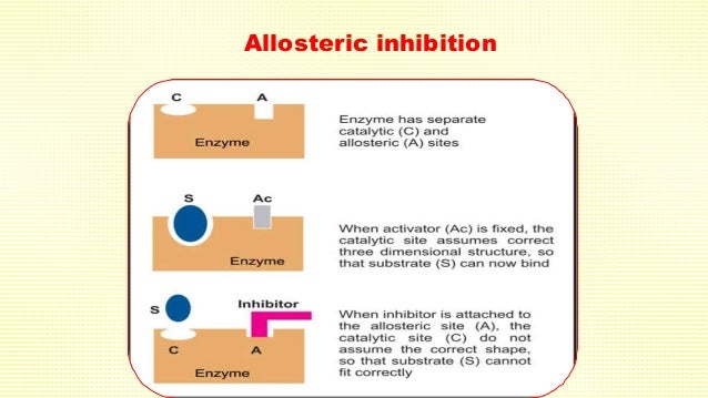 allosteric inhibition
