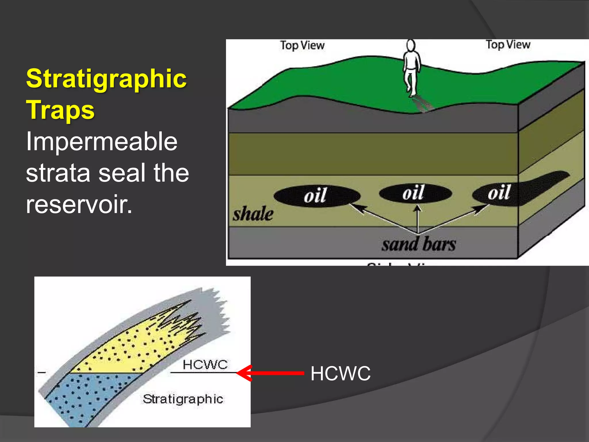 Petroleum Geology - Origin of Petroleum | PDF
