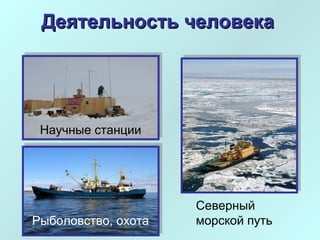 ДДееяяттееллььннооссттьь ччееллооввееккаа 
Научные станции 
Северный 
Рыболовство, охота морской путь 
 