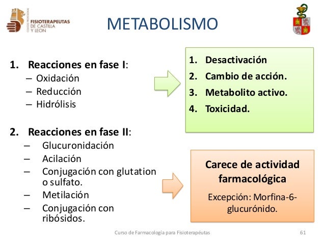 2. farmacocinética y farmacodinamia
