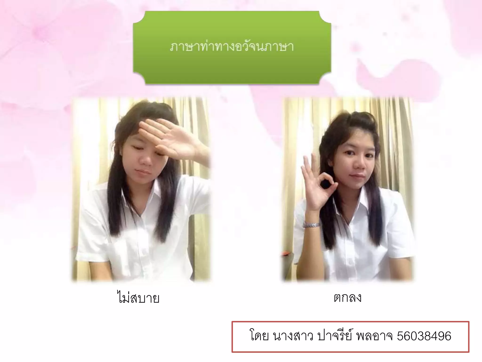ไม่สบาย ตกลง 
โดย นางสาว ปาจรีย์ พลอาจ 56038496 
 