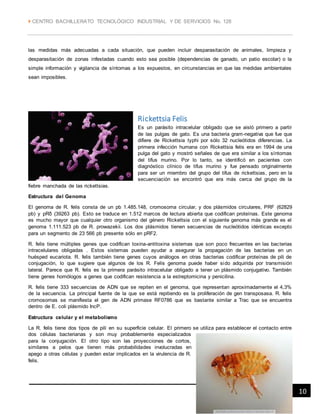  CENTRO BACHILLERATO TECNOLÓGICO INDUSTRIAL Y DE SERVICIOS No. 128
101 de enerode 2014
las medidas más adecuadas a cada situación, que pueden incluir desparasitación de animales, limpieza y
desparasitación de zonas infestadas cuando esto sea posible (dependencias de ganado, un patio escolar) o la
simple información y vigilancia de síntomas a los expuestos, en circunstancias en que las medidas ambientales
sean imposibles.
Rickettsia Felis
Es un parásito intracelular obligado que se aisló primero a partir
de las pulgas de gato. Es una bacteria gram-negativa que fue que
difiere de Rickettsia typhi por sólo 32 nucleótidos diferencias. La
primera infección humana con Rickettsia felis era en 1994 de una
pulga del gato y mostró señales de que era similar a los síntomas
del tifus murino. Por lo tanto, se identificó en pacientes con
diagnóstico clínico de tifus murino y fue pensado originalmente
para ser un miembro del grupo del tifus de rickettsias, pero en la
secuenciación se encontró que era más cerca del grupo de la
fiebre manchada de las rickettsias.
Estructura del Genoma
El genoma de R. felis consta de un pb 1.485.148, cromosoma circular, y dos plásmidos circulares, PRF (62829
pb) y pRδ (39263 pb). Esto se traduce en 1.512 marcos de lectura abierta que codifican proteínas. Este genoma
es mucho mayor que cualquier otro organismo del género Rickettsia con el siguiente genoma más grande es el
genoma 1.111.523 pb de R. prowazekii. Los dos plásmidos tienen secuencias de nucleótidos idénticas excepto
para un segmento de 23 566 pb presente sólo en pRF2.
R. felis tiene múltiples genes que codifican toxina-antitoxina sistemas que son poco frecuentes en las bacterias
intracelulares obligadas . Estos sistemas pueden ayudar a asegurar la propagación de las bacterias en un
huésped eucariota. R. felis también tiene genes cuyos análogos en otras bacterias codificar proteínas de pili de
conjugación, lo que sugiere que algunos de los R. Felis genoma puede haber sido adquirida por transmisión
lateral. Parece que R. felis es la primera parásito intracelular obligado a tener un plásmido conjugativo. También
tiene genes homólogos a genes que codifican resistencia a la estreptomicina y penicilina.
R. felis tiene 333 secuencias de ADN que se repiten en el genoma, que representan aproximadamente el 4,3%
de la secuencia. La principal fuente de la que se está repitiendo es la proliferación de gen transposasa. R. felis
cromosomas se manifiesta el gen de ADN primase RF0786 que es bastante similar a Trac que se encuentra
dentro de E. coli plásmido IncP.
Estructura celular y el metabolismo
La R. felis tiene dos tipos de pili en su superficie celular. El primero se utiliza para establecer el contacto entre
dos células bacterianas y son muy probablemente especializados
para la conjugación. El otro tipo son las proyecciones de cortos,
similares a pelos que tienen más probabilidades involucradas en
apego a otras células y pueden estar implicados en la virulencia de R.
felis.
 