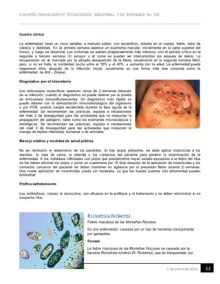  CENTRO BACHILLERATO TECNOLÓGICO INDUSTRIAL Y DE SERVICIOS No. 128
121 de enerode 2014
Cuadro clínico
La enfermedad tiene un inicio variable, a menudo súbito, con escalofríos, dolores en el cuerpo, fiebre, dolor de
cabeza y debilidad. En la primera semana aparece un exantema macular, inicialmente en la parte superior del
tronco, y luego se disemina. Los síntomas se vuelven progresivamente más intensos, con el periodo crítico en la
segunda o tercera semana. El estupor y el coma se pueden ver interrumpidos por ataques de delirio. La
recuperación se ve marcada por la abrupta desaparición de la fiebre, usualmente en la segunda semana febril,
pero, si no se trata, la mortalidad oscila entre el 10% y el 40%, y aumenta con la edad. La enfermedad puede
reaparecer años después de la infección inicial, usualmente en una forma más leve conocida como la
enfermedad de Brill - Zinsser.
Diagnóstico por el laboratorio
Los anticuerpos específicos aparecen cerca de 2 semanas después
de la infección, cuando el diagnóstico se puede obtener por la prueba
de anticuerpos inmunofluorescentes. Un diagnóstico más rápido se
puede obtener con la demostración inmunohistológica del organismo
o por PCR, usando sangre recolectada durante la fase aguda de la
enfermedad. Se recomiendan las prácticas, equipos e instalaciones
del nivel 2 de bioseguridad para las actividades que no involucren la
propagación del patógeno, tales como los exámenes microscópicos y
serológicos. Se recomiendan las prácticas, equipos e instalaciones
del nivel 3 de bioseguridad para las actividades que involucren el
manejo de tejidos infectados humanos o de animales.
Manejo médico y medidas de salud pública
No es necesario el aislamiento de los pacientes. Si hay piojos presentes, se debe aplicar insecticida a los
vestidos, la ropa de cama, la vivienda y los contactos del paciente para prevenir la diseminación de la
enfermedad. A los individuos infestados con piojos que posiblemente hayan estado expuestos a la fiebre del tifus
se les deben eliminar los piojos y poner en cuarentena por 15 días después de la aplicación de insecticidas y los
contactos cercanos del paciente se deben mantener en vigilancia por si presentan fiebre durante 2 semanas.
Una nueva aplicación de insecticidas puede ser necesaria, ya que los huevos puestos con anterioridad pueden
eclosionar.
Profilaxis/tratamiento
Los antibióticos, incluso la doxiciclina, son eficaces en la profilaxis y el tratamiento y se deben administrar si se
sospecha tifus.
Rickettsia Rickettsi
Fiebre maculosa de las Montañas Rocosas
Es una enfermedad causada por un tipo de bacterias transportadas
por garrapatas.
Causas
La fiebre maculosa de las Montañas Rocosas es causada por la
bacteria Rickettsia rickettsii (R. Rickettsii), que es transportada por
 