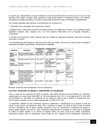  CENTRO BACHILLERATO TECNOLÓGICO INDUSTRIAL Y DE SERVICIOS No. 128
171 de enerode 2014
en cuenta que, habitualmente, la carga microbiana en este tipo de infecciones es menor que en el caso de otras
bacterias. Esto obliga a recoger mayor cantidad de muestra para obtener un rendimiento óptimo. Las muestras
inaceptables no deben procesarse y el médico responsable del paciente debe ser informado inmediatamente.
Los consejos generales para optimizar el procesamiento de muestras son:
1. Comprobar que el etiquetado de la muestra es correcto.
2. Registrar toda la información necesaria que pudiera afectar a la calidad de la muestra y que represente interés
diagnóstico (aspecto, color, coágulos, etc.), así como aspectos relacionados con su recogida, transporte y
conservación.
3. Durante el procesamiento, deben seguirse todas las medidas de seguridad necesarias, tanto para el personal
como para la muestra.
4. El procesamiento debe llevarse a cabo tan pronto como sea posible, más aún en el caso de que se persiga el
aislamiento del agente, garantizando de esta forma la viabilidad.
Muestras necesarias para el diagnóstico de las rickettsiosis. Î
CULTIVOS. SELECCIÓN DE MEDIOS Y CONDICIONES DE INCUBACIÓN
Para el cultivo de las rickettsias del GFM se requiere medio MEM (Mínimum Esencial Médium) sin antibiótico
suplementado con suero bovino fetal (SBF) al 10% (concentración final, CF), 2 nm de glutamina CF y 0,2% (CF)
de aminoácidos no esenciales. La incubación de los cultivos se lleva a cabo a 33-35ºC en ausencia de CO2.
Para R. typhi se requiere el mismo medio suplementado con SBF al 2% (CF).
El diagnóstico definitivo de las rickettsiosis requiere el aislamiento e identificación de la especie a partir del
cultivo, lo que supone con frecuencia, varios días o semanas de espera. El cultivo de lleva a cabo en células
Vero E6 o fibroblastos L92. El efecto citopático producido no es muy característico ni específico de especie y,
aunque puede aparecer a las 24-48 h post- inoculación, generalmente se necesitan 5-7 días para su desarrollo.
El cultivo se puede acelerar si se inocula la muestra sobre una mono capa de las células susceptibles
previamente crecidas sobre un portaobjetos circular (Shell vial, SV), seguida de una centrifugación. Después de
 