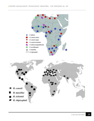  CENTRO BACHILLERATO TECNOLÓGICO INDUSTRIAL Y DE SERVICIOS No. 128
241 de enerode 2014
 