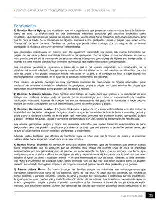  CENTRO BACHILLERATO TECNOLÓGICO INDUSTRIAL Y DE SERVICIOS No. 128
251 de enerode 2014
Conclusiones
1) Quistián García Hylary: Las rickettsias son microorganismos que presentan características tanto de bacterias
como de virus. La Rickettsiosis es una enfermedad infecciosa producida por bacterias conocidas como
rickettsias, que destruyen las células de algunos tejidos. La rickettsia no se transmite de humano a humano, sino
que lo hace a través de la mordedura de algunos animales como garrapatas, piojos y pulgas, que sirven como
“transporte” de esta bacteria. También es posible que pueda haber contagio por un rasguño de un animal
contagiado o incluso al consumir alimentos contaminados.
Las principales rickettsiosis en méxico son: tifo epidémico transmitido por piojos, tifo murino transmitido por
pulgas de las ratas y fiebre manchada transmitida por garrapatas. Por lo regular en las condiciones en que es
más común que se dé la transmisión de esta bacteria es cuando las condiciones de higiene son inadecuadas, o
cuando se tiene mucho contacto con animales domésticos que están parasitados con garrapatas.
Las rickettsias penetran al organismo a través de la piel o del aparato respiratorio, son introducidos por la
picadura del animal infectado. Las garrapatas inyectan las rickettsias en la piel mientras se alimentan, por otro
lado los piojos y las pulgas depositan heces infectadas en la piel, y el contagio se lleva a cabo cuando los
microorganismos son frotados en el lugar de la picadura al momento de rascarse.
Para prevenir un posible contagio es muy importante mantener las condiciones de higiene adecuadas, evitar
contacto con animales domésticos infestados de garrapatas, piojos o pulgas, así como eliminar las plagas que
transmiten esta enfermedad como pueden ser las ratas o ratones.
2) Ramírez Arellanos Génesis: Para concluir este trabajo se puede decir que gracias a la realización de este
trabajo nos pudimos acercar más al mundo de la microbiología así como el mejoramiento de nuestras
habilidades manuales. Además de conocer los efectos devastadores del grupo de la rickettsias y hacer todo lo
posible por evitar contagiarse por sus transmisores, como lo son las pulgas y piojos.
3) Ramírez Hernández Jessica: El género Ricketssia a pesar de no causar enfermedades con alto índice de
mortalidad son bacterias patógenas de gran cuidado ya que se transmiten fácilmente tanto a animales, perros y
gatos como a humanos a través de estos pues son mascotas comunes que contraen ácaros, garrapatas, pulgas
y piojos. También rasguños, aguas y alimentos contaminados son vías fáciles de transmisión de Ricketssias.
Los ácaros, garrapatas, pulgas y piojos son pequeños arácnidos que suelen transmitir enfermedades de poca
peligrosidad pero que pueden complicarse por diversos factores que una persona o población puedan tener, por
lo que de igual manera existen medidas preventivas y tratamiento.
Además, estas bacterias son difíciles de identificar pues se tiñen mal con la tinción de Gram y al examinar
cultivos debe haber especial cuidado por esta característica.
4) Ramos Franco Michelle: Mi conclusión seria que existen diferentes tipos de Rickettsias que vendrían siendo
como enfermedades que se producen por un animales muy chicos por ejemplo unas de ellas se producían
enfermedades por las garrapatas pero al parecer en especialmente en África que se produce una fiebre, que
cualquiera que va y visita a África se contagian de ello y especialmente de los perros por lo cual hay que tener
cuidado al tocar un perro o cualquier animal y en otra enfermedad es por las ratas, roedores, u otros animales
que viven comúnmente en cualquier lugar, estos animales son los que hay que tener cuidado como se pueden
prevenir es teniendo los lugares limpios y sin ninguna suciedad porque de ahí ellos provienen y se generar.
5) Ramos Juárez Mario: Es bueno conocer las familias porque las rickettsias son microorganismos que
comparten características tanto de las bacterias como de los virus. Al igual que las bacterias, las ricketts ias
tienen enzimas y paredes celulares, utilizan oxígeno y pueden ser controladas o destruidas por los antibióticos.
Al igual que los virus, pueden vivir y multiplicarse sólo dentro de las células. Las rickettsias normalmente viven en
ácaros, garrapatas, pulgas y piojos y pueden transmitirse a los humanos a través de las picaduras de estos
insectos que succionan sangre. Suelen vivir dentro de las células que revisten pequeños vasos sanguíneos y, en
 