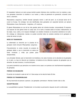  CENTRO BACHILLERATO TECNOLÓGICO INDUSTRIAL Y DE SERVICIOS No. 128
61 de enerode 2014
El hospedador habitual es el perro aunque también pueden infectarse otros mamíferos como los roedores y aves.
Las garrapatas transmiten la rickettsia a sus huevos y ninfas de generación en generación, actuando como
vector y reservorio.
Rhipicephalus sanguineus, también llamada “garrapata marrón o café del perro”, es el principal vector de R.
conorii en Europa. Sin embargo, han sido identificadas otras garrapatas con capacidad vectorial, por ejemplo
Rhipicephalus bursa, Dermacentor marginatus, y R. turanicus.
El género Rhipicephalus es uno de los más grandes dentro de la familia Ixoxidae, comprendiendo 79 especies.
Las especies de este género tienen el cuerpo duro. En el perro, el estadio adulto se localiza, habitualmente, en
las orejas, nuca, cuello y en el espacio interdigital. Los estadios inmaduros se encuentran sobretodo en el cuello.
Sin embargo en infestaciones masivas se pueden encontrar todos los estadios evolutivos de la garrapata en
zonas del animal con pelo.
MODO DE TRANSMISIÓN
La enfermedad se transmite por la picadura de la
garrapata marrón del perro Rhipicephalus sanguineus.
Frecuentemente no existe recuerdo de picadura de
garrapata debido a que la transmisión se realiza por
larvas inmaduras y ninfas que pueden pasar
desapercibidas.
Los principales factores para la transmisión de rickettsias a los seres humanos son la abundancia de garrapatas
en el perro, su tasa de infección por rickettsias, la tendencia de las diferentes especies de garrapatas que se
alimentan de seres humanos y la actitud del perro.
Los perros domésticos que pernoctan en el exterior de las casas o en perreras son más fácilmente hospedadores
de garrapatas.
PERÍODO DE INCUBACIÓN
El período de incubación suele ser de 5 a 7 días aunque se ha descrito hasta 20 días.
PERIODO DE TRANSMISIBILIDAD
No hay transmisión de persona a persona. Las garrapatas permanecen infectivas durante toda su vida.
SUSCEPTIBILIDAD
La susceptibilidad es general. Probablemente la inmunidad es permanente después de sufrir la enfermedad.
 
