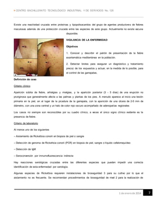  CENTRO BACHILLERATO TECNOLÓGICO INDUSTRIAL Y DE SERVICIOS No. 128
71 de enerode 2014
Existe una reactividad cruzada entre proteínas y lipopolisacaridos del grupo de agentes productores de fiebres
maculosas además de una protección cruzada entre las especies de este grupo. Actualmente no existe vacuna
disponible.
VIGILANCIA DE LA ENFERMEDAD
Objetivos
1. Conocer y describir el patrón de presentación de la fiebre
exantemática mediterránea en la población.
2. Detectar brotes para asegurar un diagnóstico y tratamiento
precoz de los expuestos y actuar, en la medida de lo posible, para
el control de las garrapatas.
Definición de caso
Criterio clínico
Aparición súbita de fiebre, artralgias y mialgias, y la aparición posterior (3 - 5 días) de una erupción no
pruriginosa que generalmente afecta a las palmas y plantas de los pies. A menudo aparece al inicio una lesión
primaria en la piel, en el lugar de la picadura de la garrapata, con la aparición de una úlcera de 2-5 mm de
diámetro, con una zona central y un halo de color rojo oscuro acompañado de adenopatías regionales
Los casos no siempre son reconocibles por su cuadro clínico, a veces el único signo clínico evidente es la
presencia de fiebre.
Criterio de laboratorio
Al menos uno de los siguientes
– Aislamiento de Rickettsia conorii en biopsia de piel o sangre
– Detección de genoma de Rickettsia conorii (PCR) en biopsia de piel, sangre o líquido cefalorraquídeo
– Detección de IgM
– Seroconversión por imnumofluorescencia indirecta
Hay reacciones serológicas cruzadas entre las diferentes especies que pueden impedir una correcta
identificación de esta enfermedad por serología.
Algunas especies de Rickettsia requieren instalaciones de bioseguridad 3 para su cultivo por lo que el
aislamiento no es frecuente. Se recomiendan procedimientos de bioseguridad de nivel 2 para la realización de
 