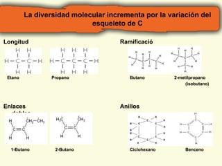 La diversidad molecular incrementa por la variación del 
esqueleto de C 
Longitud Ramificació 
n 
Etano Propano Butano 2-metilpropano 
Enlaces 
dobles 
Anillos 
(isobutano) 
1-Butano 2-Butano Ciclohexano Benceno 
 
