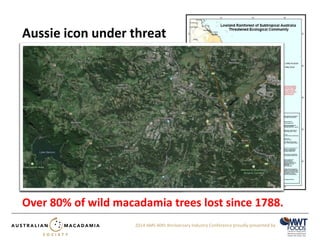 © Luis Weber © SEQ Catch©m AeMntSs 
Aussie icon under threat 
2014 AMS 40th Anniversary Industry Conference proudly presented by 
Over 80% of wild macadamia trees lost since 1788. 
 