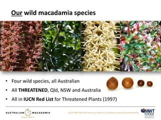 Our wild macadamia species 
2014 AMS 40th Anniversary Industry Conference proudly presented by 
• Four wild species, all Australian 
• All THREATENED, Qld, NSW and Australia 
• All in IUCN Red List for Threatened Plants (1997) 
 