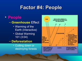 FFaaccttoorr ##44:: PPeeooppllee 
• People 
– Greenhouse Effect 
• Warming of the 
Earth (Interactive) 
• Global Warming 
101 (3:04) 
– Deforestation 
• Cutting down or 
destroying forests 
 
