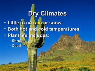 DDrryy CClliimmaatteess 
• LLiittttllee ttoo nnoo rraaiinn oorr ssnnooww 
• BBootthh hhoott aanndd ccoolldd tteemmppeerraattuurreess 
• PPllaanntt lliiffee iinncclluuddeess:: 
– SShhrruubbss 
– CCaaccttii 
 
