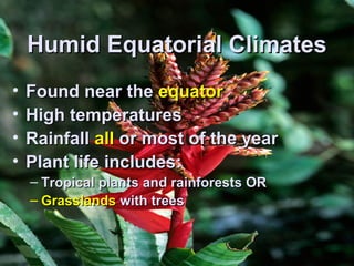 HHuummiidd EEqquuaattoorriiaall CClliimmaatteess 
• FFoouunndd nneeaarr tthhee eeqquuaattoorr 
• HHiigghh tteemmppeerraattuurreess 
• RRaaiinnffaallll aallll oorr mmoosstt ooff tthhee yyeeaarr 
• PPllaanntt lliiffee iinncclluuddeess:: 
– TTrrooppiiccaall ppllaannttss aanndd rraaiinnffoorreessttss OORR 
– GGrraassssllaannddss wwiitthh ttrreeeess 
 