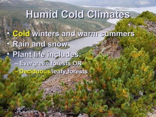 HHuummiidd CCoolldd CClliimmaatteess 
• CCoolldd wwiinntteerrss aanndd wwaarrmm ssuummmmeerrss 
• RRaaiinn aanndd ssnnooww 
• PPllaanntt lliiffee iinncclluuddeess:: 
– EEvveerrggrreeeenn ffoorreessttss OORR 
– DDeecciidduuoouuss//lleeaaffyy ffoorreessttss 
 