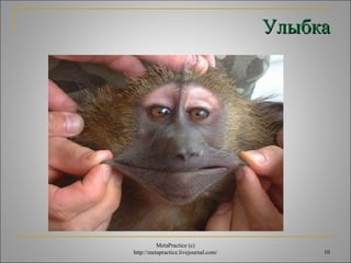 УУллыыббккаа 
10 
MetaPractice (с) 
http://metapractice.livejournal.com/ 
 
