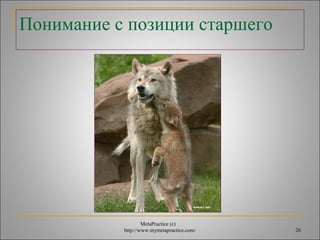 Понимание с позиции старшего 
MetaPractice (с) 
http://www.mymetapractice.com/ 26 
 