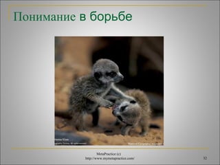 Понимание в борьбе 
MetaPractice (с) 
http://www.mymetapractice.com/ 32 
 