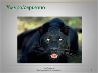 5 
Хмуро/серьезно 
MetaPractice (с) 
http://metapractice.livejournal.com/ 
 