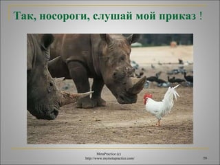 Так, носороги, слушай мой приказ ! 
MetaPractice (с) 
http://www.mymetapractice.com/ 59 
 